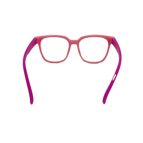 Fênix CT11017 C6 