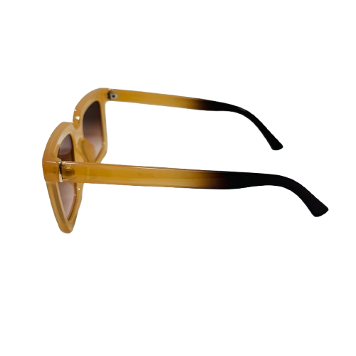 Fênix ZS1107